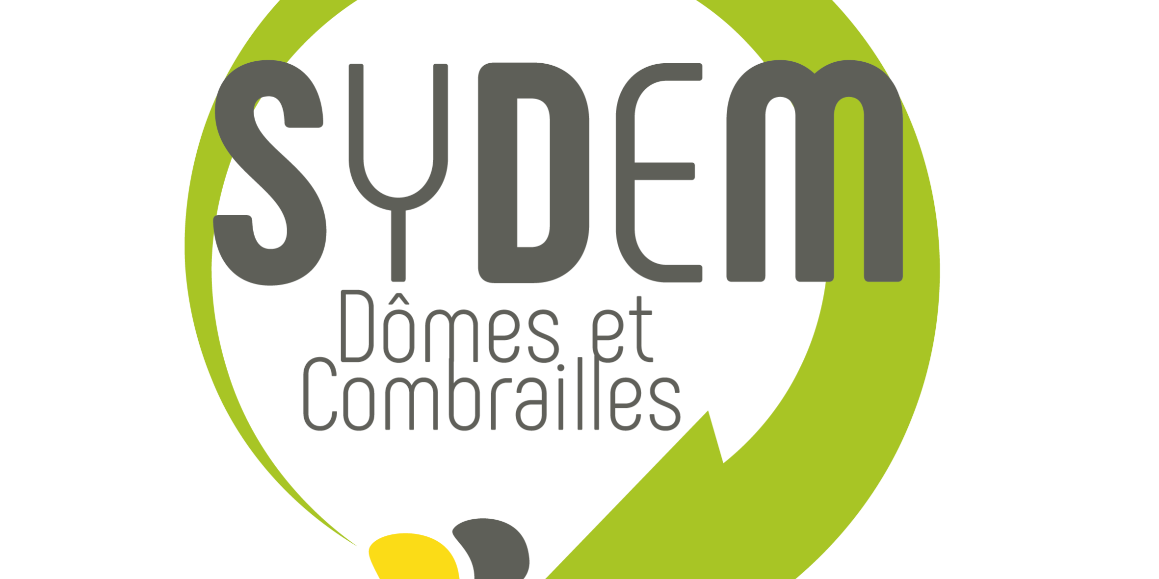 Logo Sydem quadri_Plan de travail 1